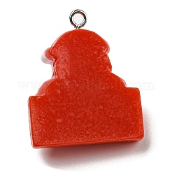 Opaque Resin Pendants&nbsp;LS-CRES-D010-02G