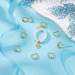 12Pcs Zinc Alloy Screw Carabiner Lock Charms&nbsp;FIND-UN0010-21