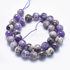 Natural Amethyst Beads Strands&nbsp;G-K256-52-12mm