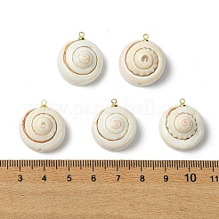 Natural Shiva Eye Shell Pendants&nbsp;KK-C143-55G