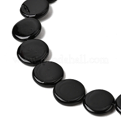 Natural Freshwater Shell Beads Strands&nbsp;SHEL-A006-01C