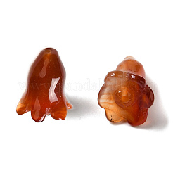 Natural Carnelian Beads&nbsp;G-C054-09F