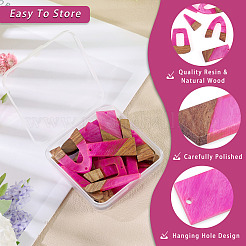 20Pcs 10 Styles Resin & Wood Pendants&nbsp;WOOD-TA0002-67B