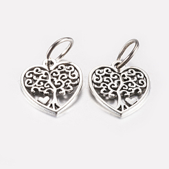 Tibetan Style Alloy Pendants&nbsp;PALLOY-F199-13AS
