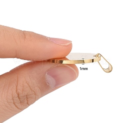Ion Plating(IP) 304 Stainless Steel Pendants&nbsp;STAS-I311-05A-G