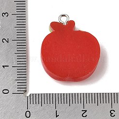 Opaque Resin Imitation Food Pendants&nbsp;RE-CBAAB56-02