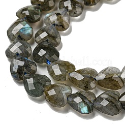 Natural Labradorite Beads Strands&nbsp;G-P544-E01-01