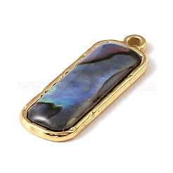 Paua Shell Pendants&nbsp;SSHEL-B145-01B-G