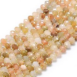 Natural Gemstone Beads Strands&nbsp;G-P573-A26-01
