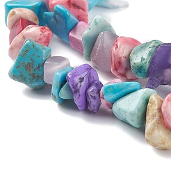 Synthetic Turquoise Beads Strands&nbsp;G-P332-24C