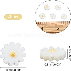 20Pcs Natural Freshwater Shell Beads&nbsp;PEAR-NB0001-14