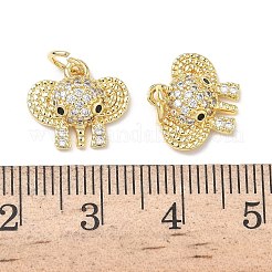 Brass Micro Pave Cubic Zirconia Charms&nbsp;KK-L253-10G