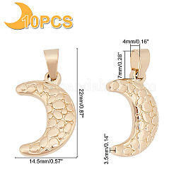10Pcs 304 Stainless Steel Pendants&nbsp;STAS-UN0028-72