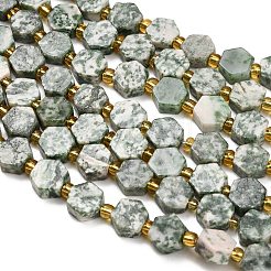 Natural Green Spot Jasper Beads Strands&nbsp;G-F833-B05-01