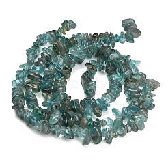 Natural Apatite Beads Strands&nbsp;GG-CBAE051-A06-01