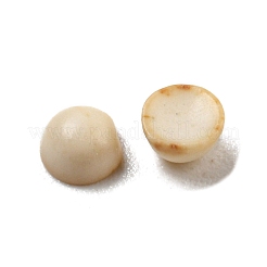 Synthetic Turquoise Cabochons&nbsp;G-B070-42A