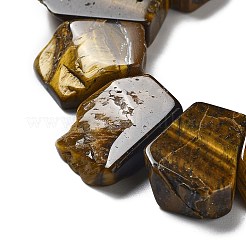 Natural Tiger Eye Beads Strands&nbsp;G-P528-K11-01