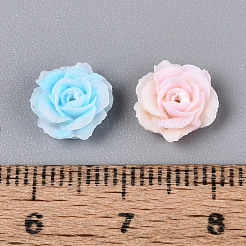 Opaque Resin Beads&nbsp;RESI-N052-01