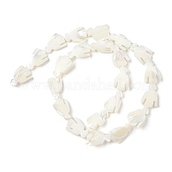 天然トロチッドシェル/トロカスシェルビーズ連売り  ワシ  貝殻色  17~18x10~13x3.5~4mm  穴：0.8mm  約22個/連  15.35~15.55''（39~39.5センチメートル）&nbsp;SSHEL-R145-05