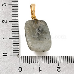 天然石ラブラドライトペンダント  真鍮の太陽が付いた長方形のチャーム  ゴールドカラー  23x16x6mm  穴：6.5x3.5mm&nbsp;G-T151-02B
