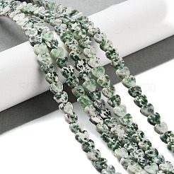 Natural Green Spot Jasper Beads Strands&nbsp;G-M403-A22-02