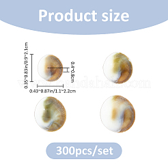 300Pcs Natural Shiva Eye Shell Cabochons&nbsp;SHEL-FH0001-28