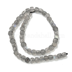 Natural Labradorite Beads Strands&nbsp;G-B168-B07-4x4mm
