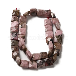 Natural Rhodonite Beads Strands&nbsp;G-C109-A03-02