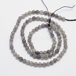 Faceted Round Natural Labradorite Bead Strands&nbsp;X-G-I156-03-4mm