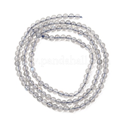 Natural Labradorite Beads Strands&nbsp;G-H358-A13-3mm-01