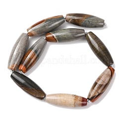 Natural America Picture Jasper Beads Strands&nbsp;G-L654-G03-01