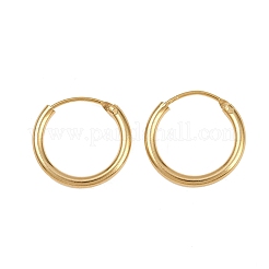 Brass Hoop Earrings&nbsp;EJEW-F378-02G