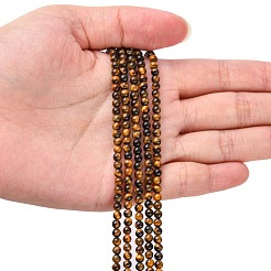 Natural Tiger Eye Beads Strands&nbsp;G-G099-3mm-4