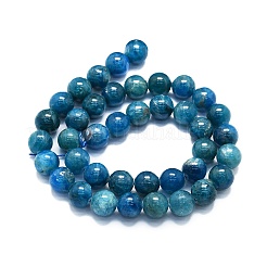 Natural Apatite Beads Strands&nbsp;G-K245-A03-05