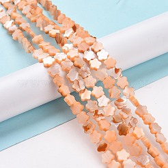 天然淡水シェルビーズ連売り  染め  花  桃パフ  8x8x3mm  穴：0.8mm  約52個/連  15.16''（38.5センチメートル）&nbsp;SHEL-H002-03C