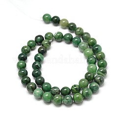Natural West African Jade Round Beads Strands&nbsp;X-G-P075-03-8mm