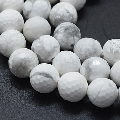 Natural Howlite Beads Strands&nbsp;G-D0013-65