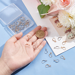 48Pcs 2 Colors Brass Earring Hooks&nbsp;KK-BC0010-66