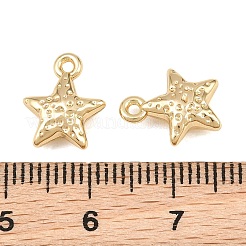 Alloy Charms&nbsp;AL-CBA83D5-07G