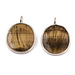 Natural Tiger Eye Pendants&nbsp;G-T131-108