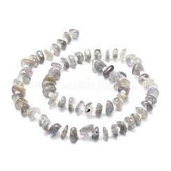 天然石ラブラドライトビーズ連売り  ナゲット  8~11x9~14x1.5~5mm  穴：0.8mm  約74個/連  15.55''（39.5センチメートル）&nbsp;G-E569-J08