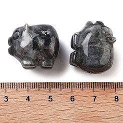 天然ラルビカイトの彫刻された置物  ホームオフィスのデスクトップ装飾用  豚  17~19x23~24.5x19.5~21mm&nbsp;DJEW-L023-C03