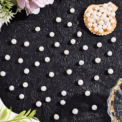 100Pcs Natural Cultured Freshwater Pearl Beads&nbsp;PEAR-LT0001-15