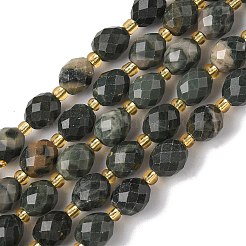 Natural Green Wood Lace Stone Wooden Jasper Beads Strands&nbsp;G-F809-A30-01