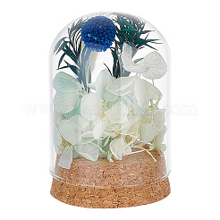 Glass Dome Cover&nbsp;AJEW-WH0307-70