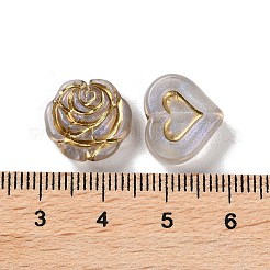 Transparent Acrylic Beads&nbsp;MACR-L005-05L