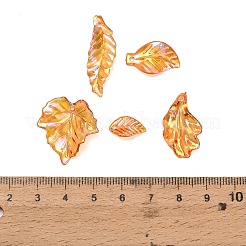Transparent Acrylic Pendants&nbsp;AC-CBAE38D-02C