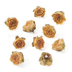 プリザーブドローズペンダント10個  バラの花のチャーム  ゴールド  25~28x22~25x20~23mm  穴：1.5mm&nbsp;KY-TA0001-59D