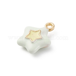 Alloy Enamel Charms&nbsp;ENAM-E362-08E