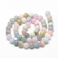 Natural Morganite Beads Strands&nbsp;G-R446-8mm-06